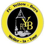 Yellow Boys